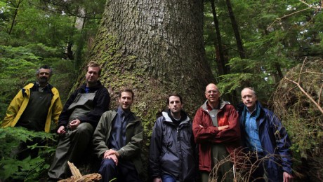 MusicwoodCoalitionTree Guitar Makers in Front of Tree in the Tongass