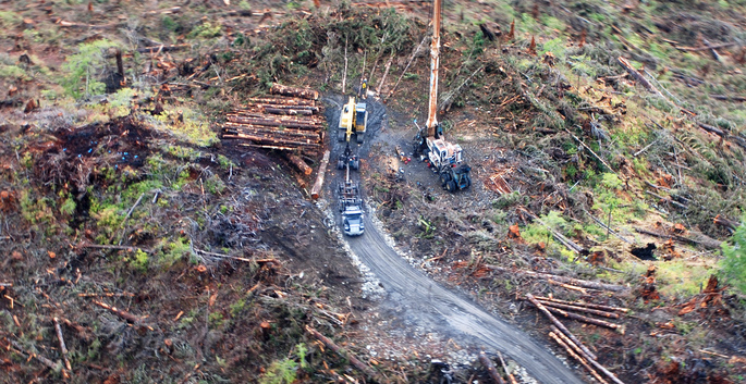View from a helicopter of a clearcut and logging road in the Tongass forest